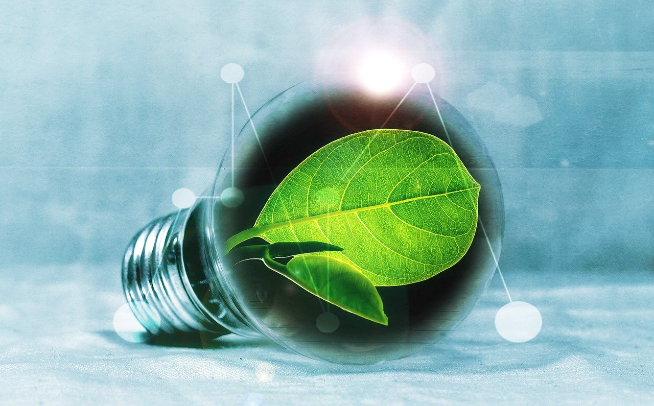 Bulb Image
